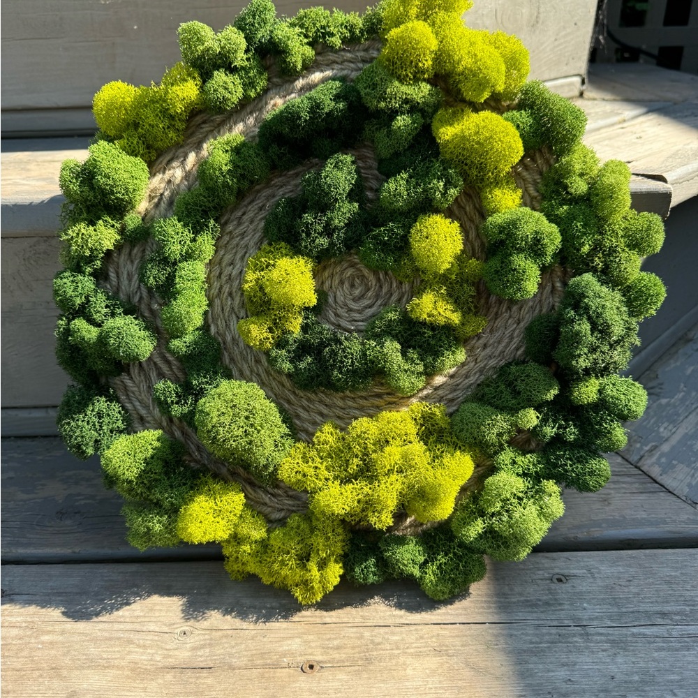 Spiral Forest – Round Preserved Moss Wall Art (12″ Diameter)